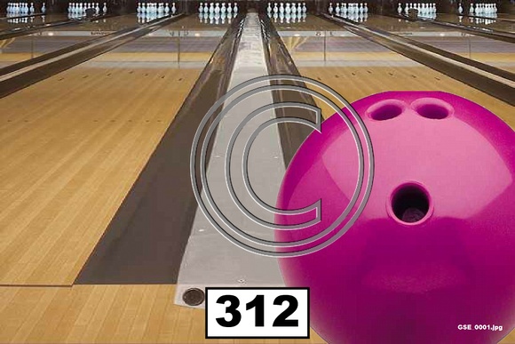Sports Bowling Ball 312