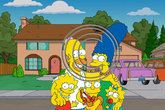 Cartoons Simpson Family