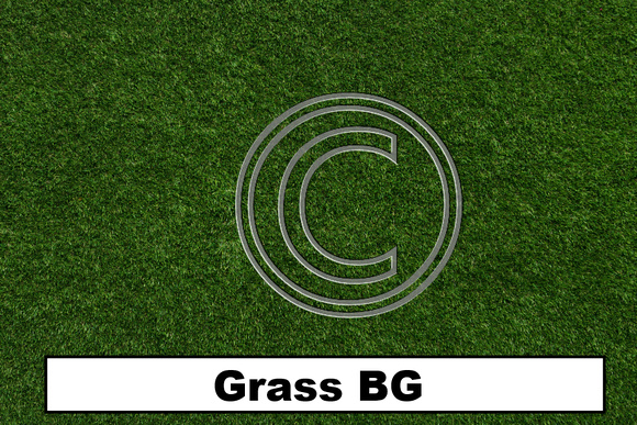 Backdrop Grass BG - 414