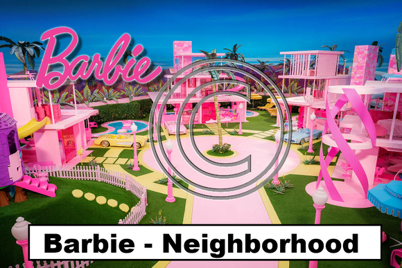 Stars Barbie Neighborhood - 425