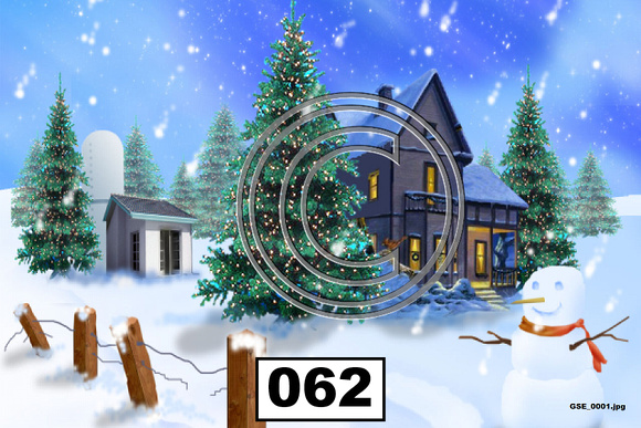 Christmas Snow Scene  - 62