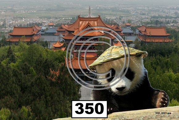 350 - Places China Panda