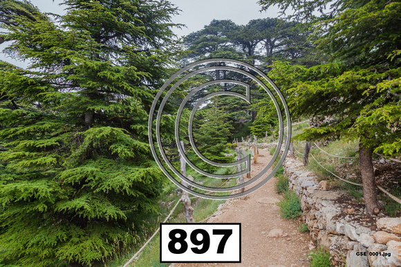 Places Lebanon Cedars - 393 (# no longer 897)