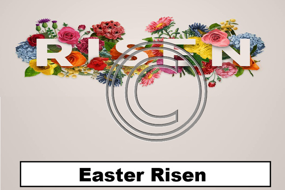 Easter Risen - 411