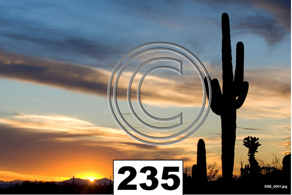 Places AZ Cactus Sunset