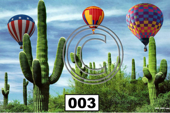 Places AZ Cacti Garden Balloons