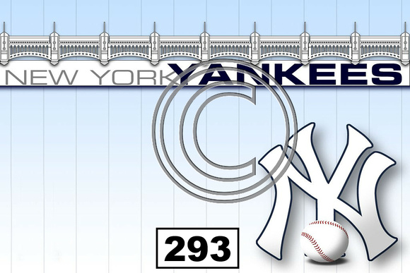Sports Yankees Bridge Logo